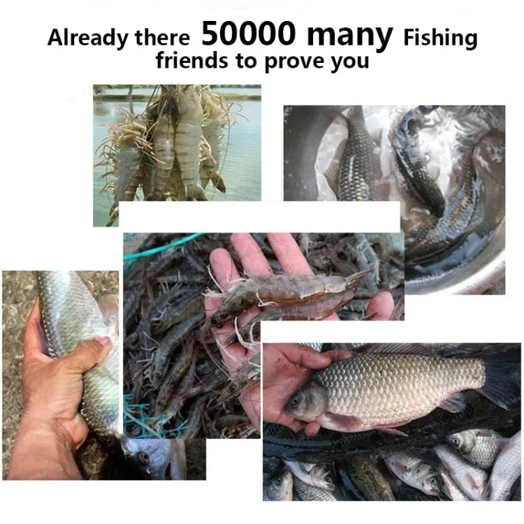 12 Holes Automatic Foldable Fishing Net Nylon Shrimp Crab Minnow Trap Fish Cast Net Fishing Tackle