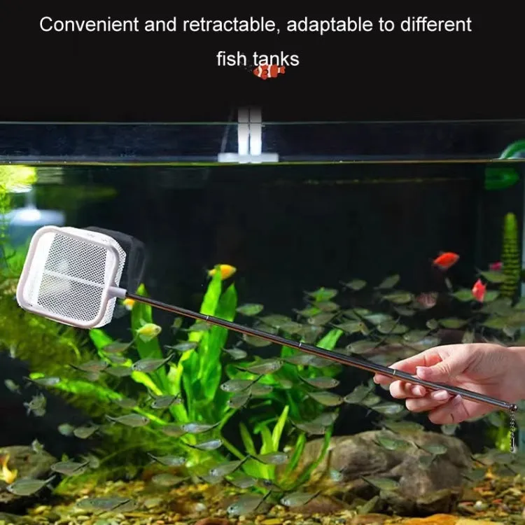 3D Fish Tank Fishing Net Stainless Steel Retractable Fish Shrimp Fish Net Pocket, Color: Square White