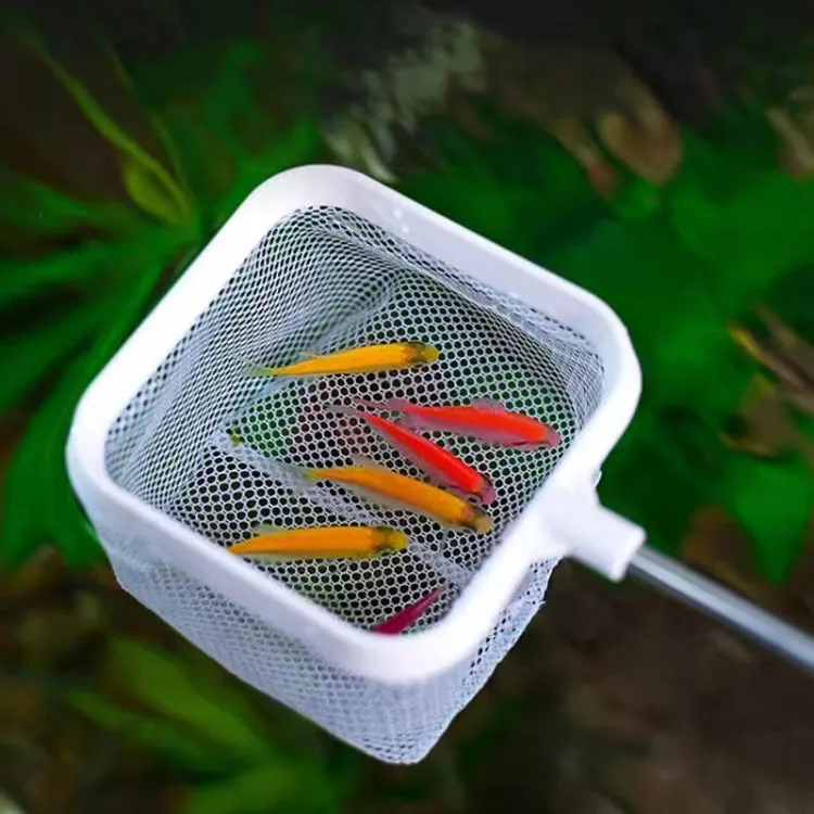 3D Fish Tank Fishing Net Stainless Steel Retractable Fish Shrimp Fish Net Pocket, Color: Square White