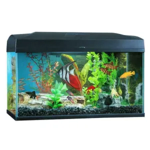 Blue Planet Classic Aquarium 50L