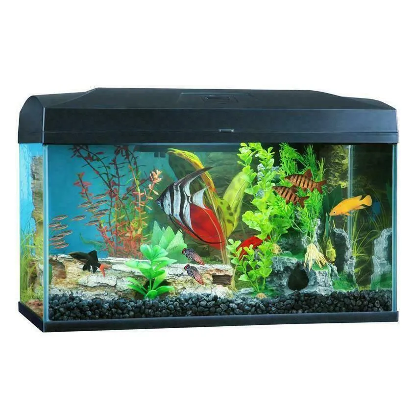 Blue Planet Classic Aquarium 50L