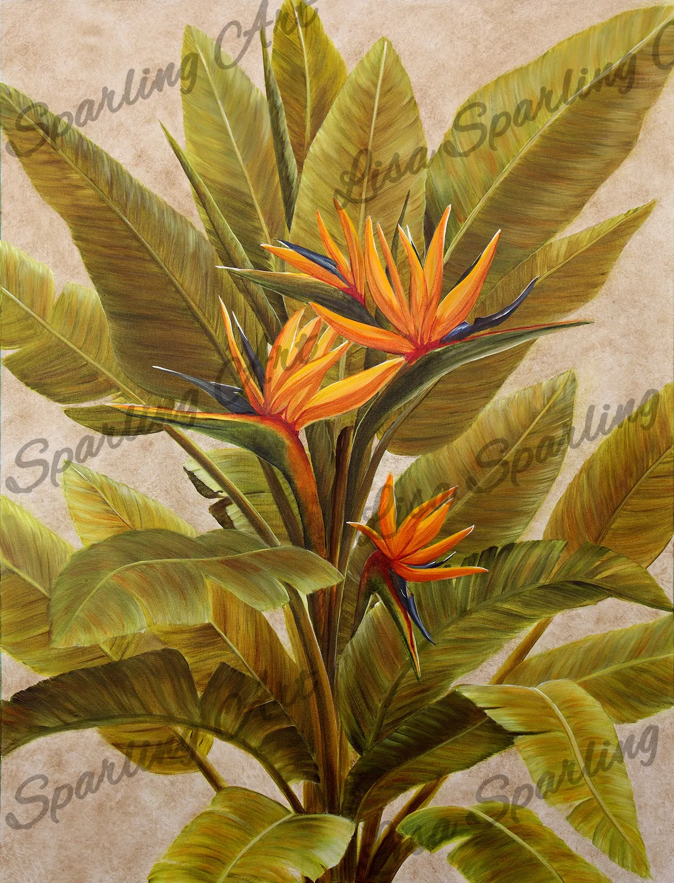 "Orange Bird of Paradise" Giclée Reproduction