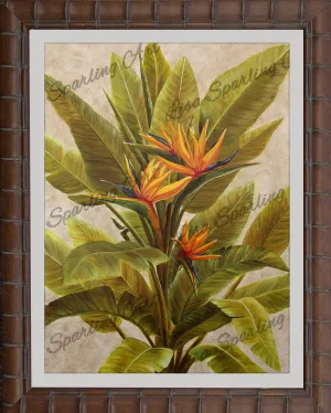 "Orange Bird of Paradise" Giclée Reproduction