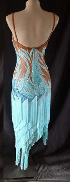 Sexy Fringe & Mesh Rhythm / Latin Ballroom Dance Dress