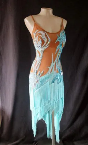 Sexy Fringe & Mesh Rhythm / Latin Ballroom Dance Dress